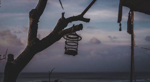 Close-up of silhouette tree against sky at sunset