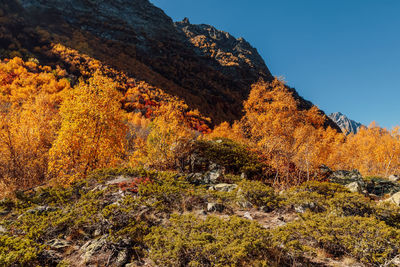 Scenic view of mountains against clear sky