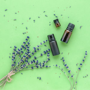 High angle view of lemon on table
