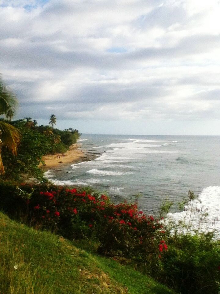 Rincon puerto rico