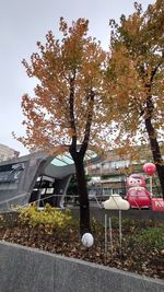 tree