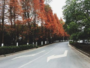 Road amidst trees