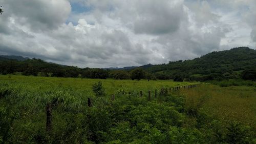Scenic view of field against sky