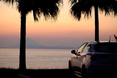 Silhouette of palm trees at sunset