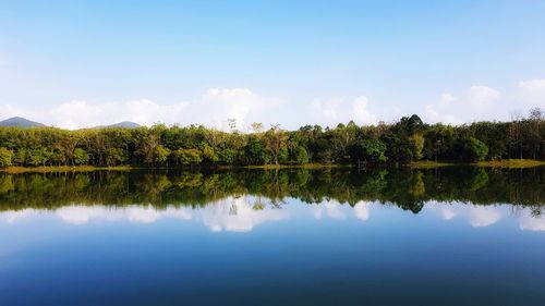 Scenic view of lake by trees against sky