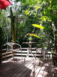 Empty chairs in backyard