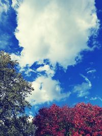 Low angle view of trees against blue sky