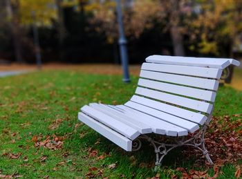 Empty bench in park