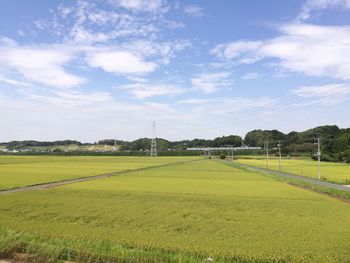 Scenic view of field against sky