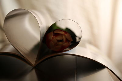 Close-up of orange juice glass on table