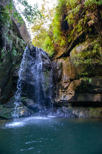 Scenic view of waterfall in forest