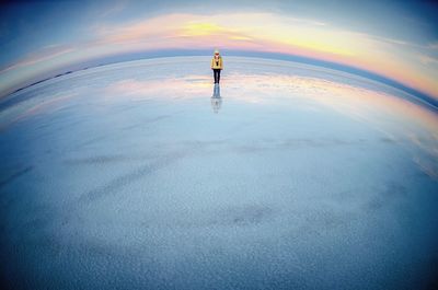 Rear view of man standing on beach during sunset