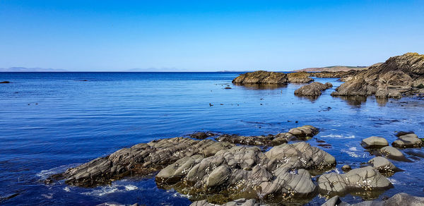 Scenic view of sea against clear blue sky