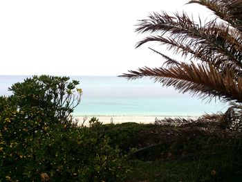 Scenic view of beach and sea against sky