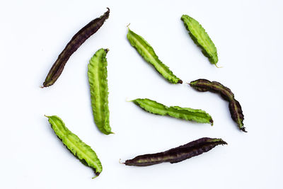 High angle view of chili pepper against white background