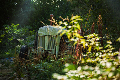 A rusty tractor covered by grass