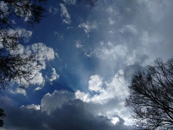 Low angle view of tree against cloudy sky