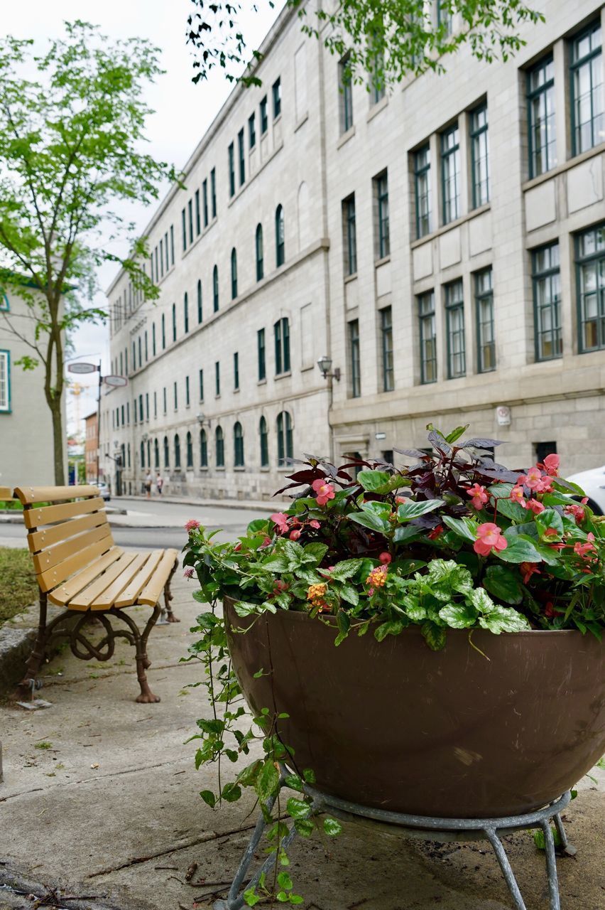 POTTED PLANTS ON TABLE AGAINST BUILDING