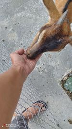 High angle view of person hand on shore