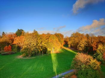 Scenic view of autumn trees against sky