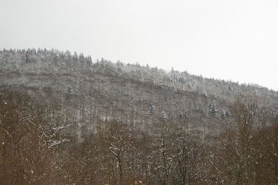 Scenic view of snow covered land against clear sky