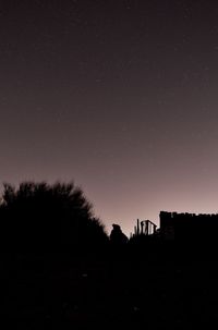 Silhouette trees on field against sky at night