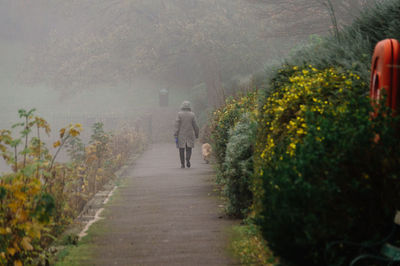 Rear view of person walking on road along plants