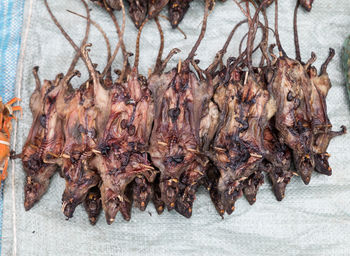 Close-up of roasted rats