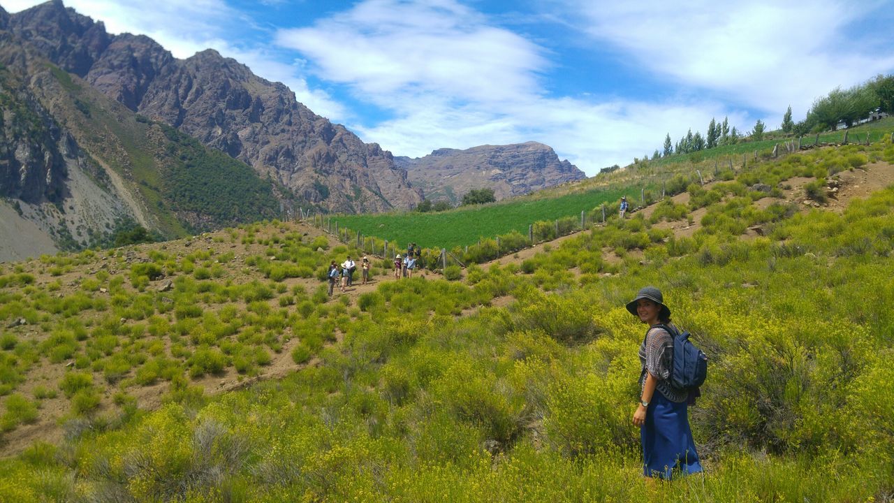 mountain, leisure activity, lifestyles, mountain range, grass, sky, rear view, men, landscape, casual clothing, standing, beauty in nature, green color, tranquil scene, tranquility, scenics, person, nature