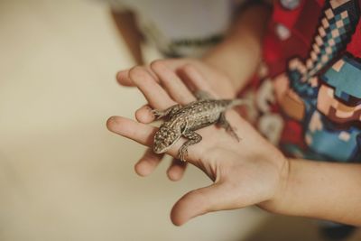 Midsection of child holding lizard