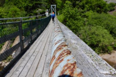 Footbridge amidst trees