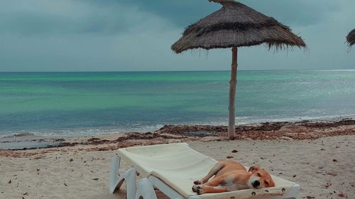 Lounge chairs and parasols on beach against sky