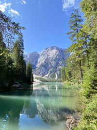 Low angle view of trees against sky