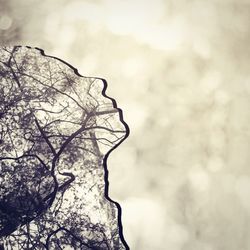 Low angle view of bare trees against sky