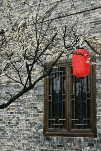 Low angle view of bare tree against building