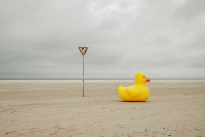 Rubber duck on a beach near sign