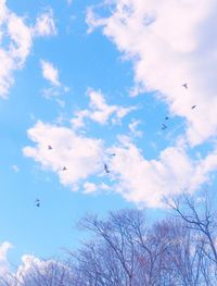 Low angle view of birds flying against sky