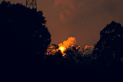 Low angle view of silhouette trees against sky at sunset