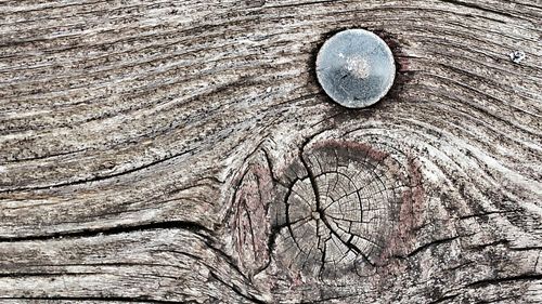 Full frame shot of wooden wall