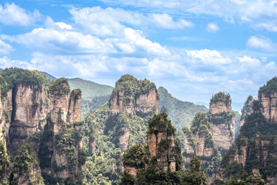 Scenery of zhangjiajie scenic area in hunan province, china