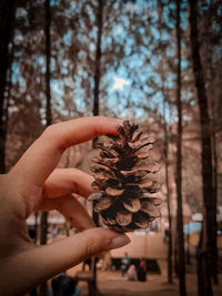 Close-up of hand holding plant against trees