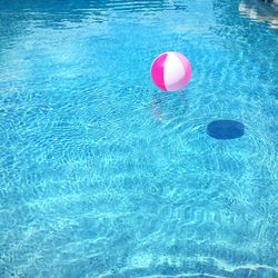 High angle view of pink ball floating on water