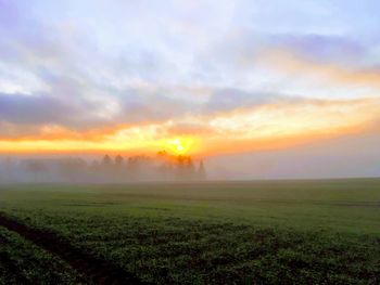 Scenic view of field against sky during sunset