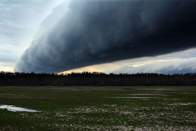 Scenic view of field against sky