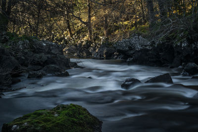 Scenic view of waterfall in forest