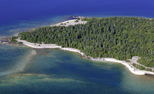 High angle view of sea and trees