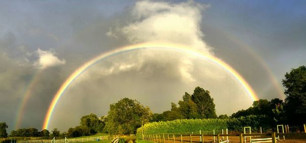 Scenic view of rainbow over landscape