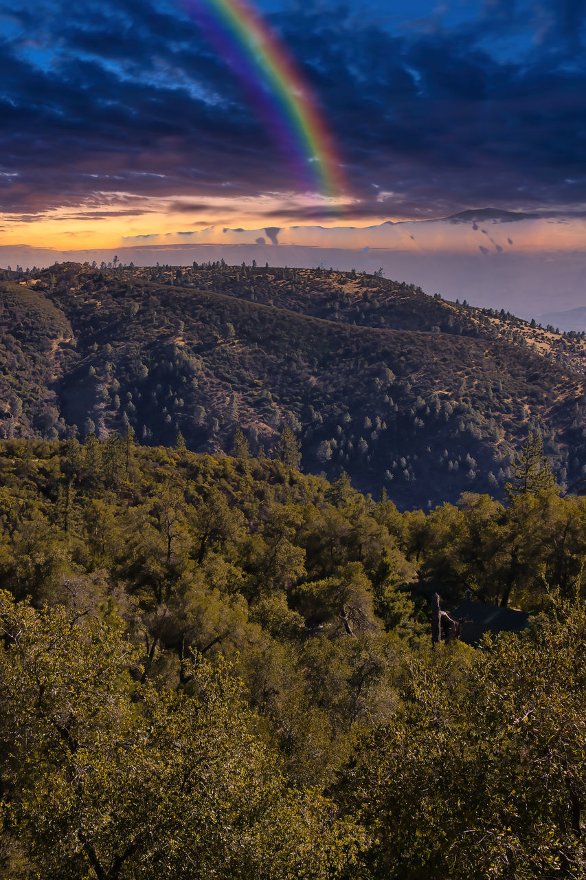 SCENIC VIEW OF RAINBOW OVER LANDSCAPE AGAINST SKY