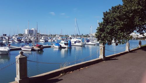 Sailboats moored in harbor