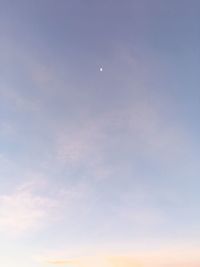 Low angle view of moon in sky